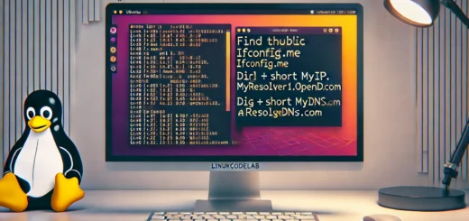 10 Ways to Find Public IP Address in Ubuntu Terminal