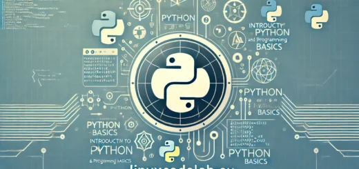 Introduction to Python and Programming Basics